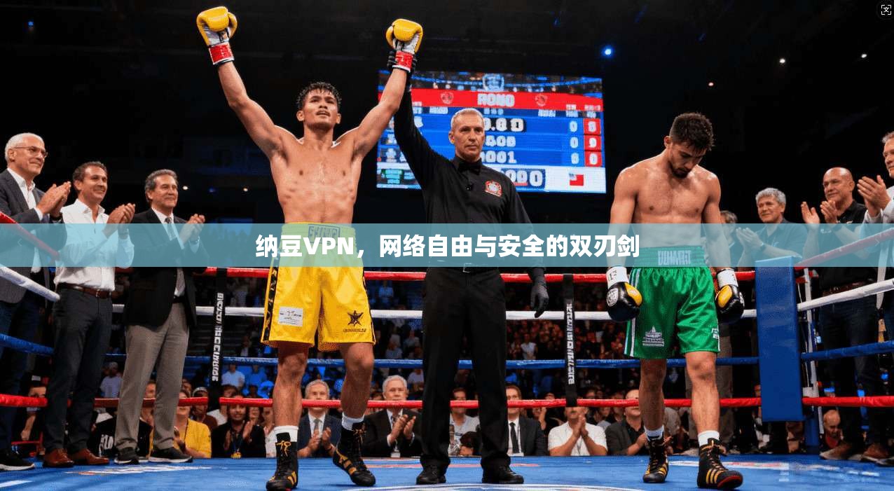 纳豆VPN，网络自由与安全的双刃剑