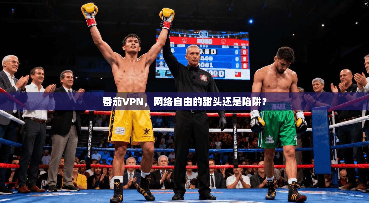 番茄VPN，网络自由的甜头还是陷阱？