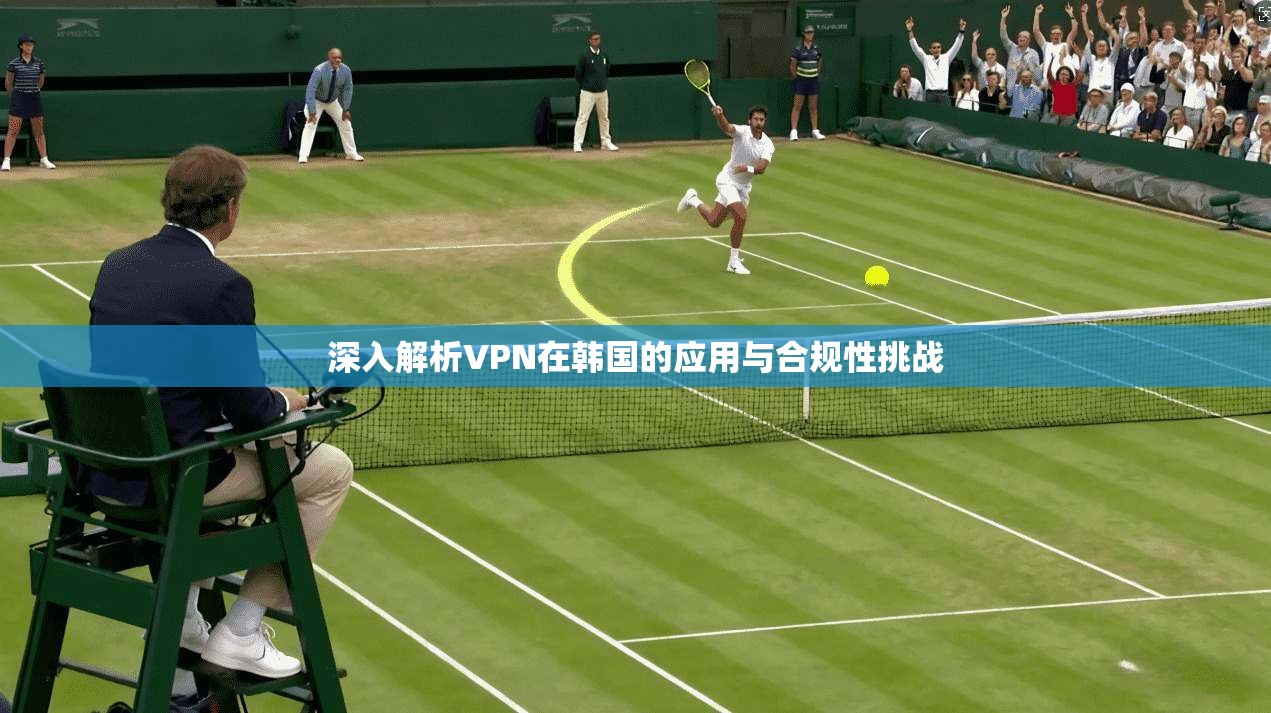 深入解析VPN在韩国的应用与合规性挑战