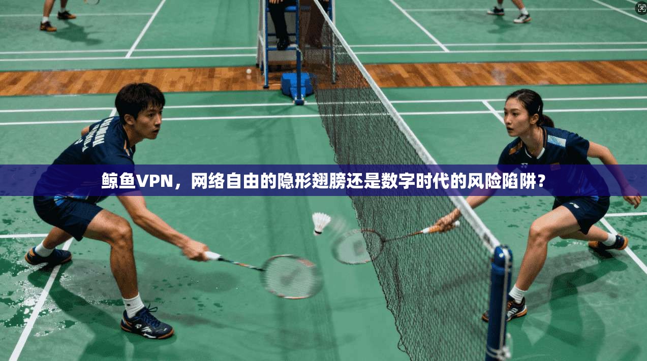 鲸鱼VPN，网络自由的隐形翅膀还是数字时代的风险陷阱？