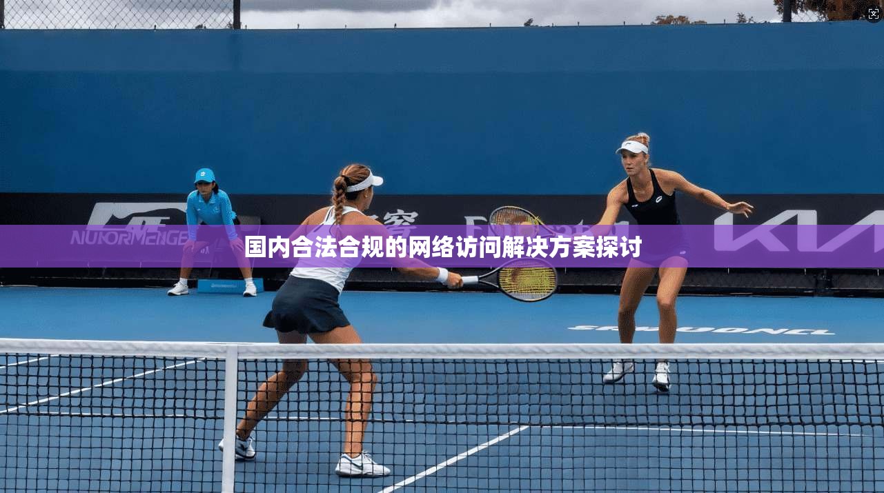 国内合法合规的网络访问解决方案探讨