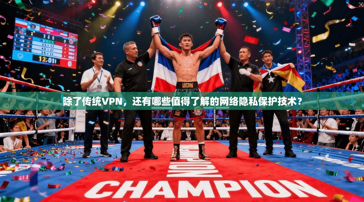 除了传统VPN，还有哪些值得了解的网络隐私保护技术？