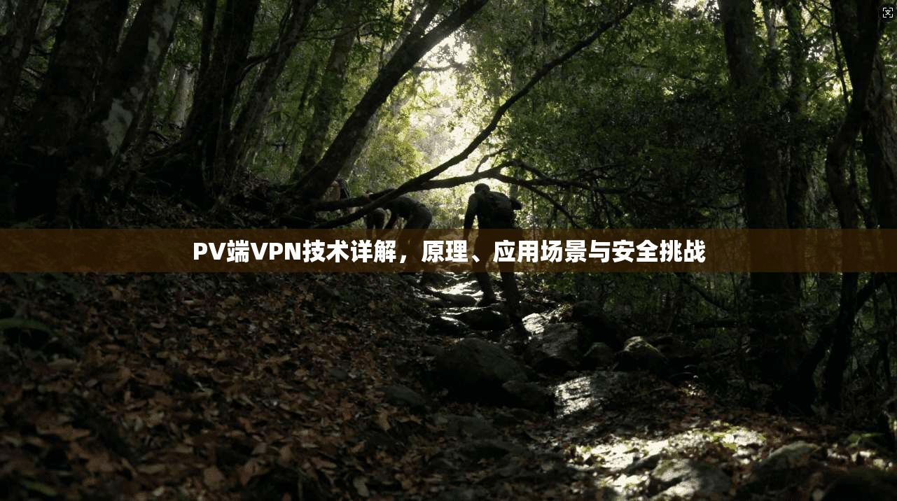 PV端VPN技术详解，原理、应用场景与安全挑战
