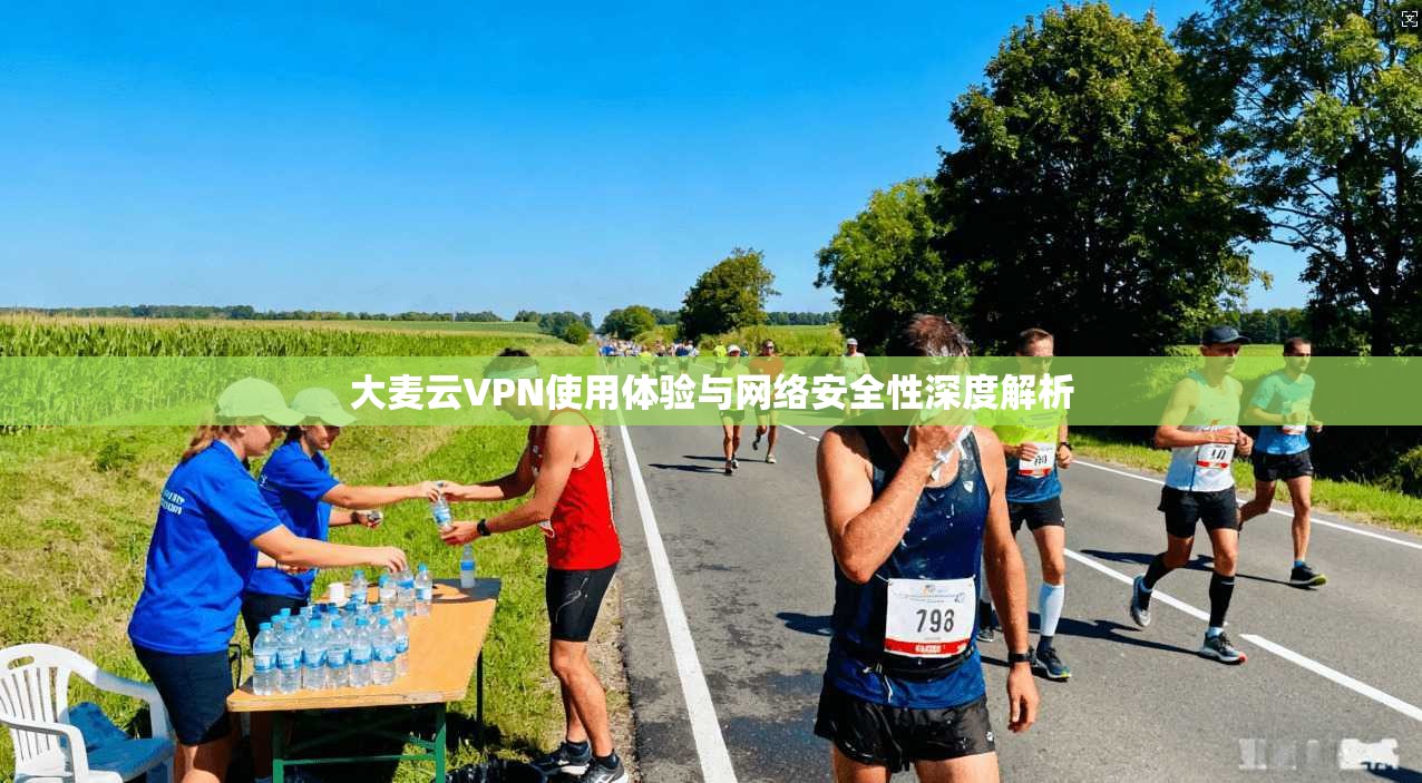 大麦云VPN使用体验与网络安全性深度解析