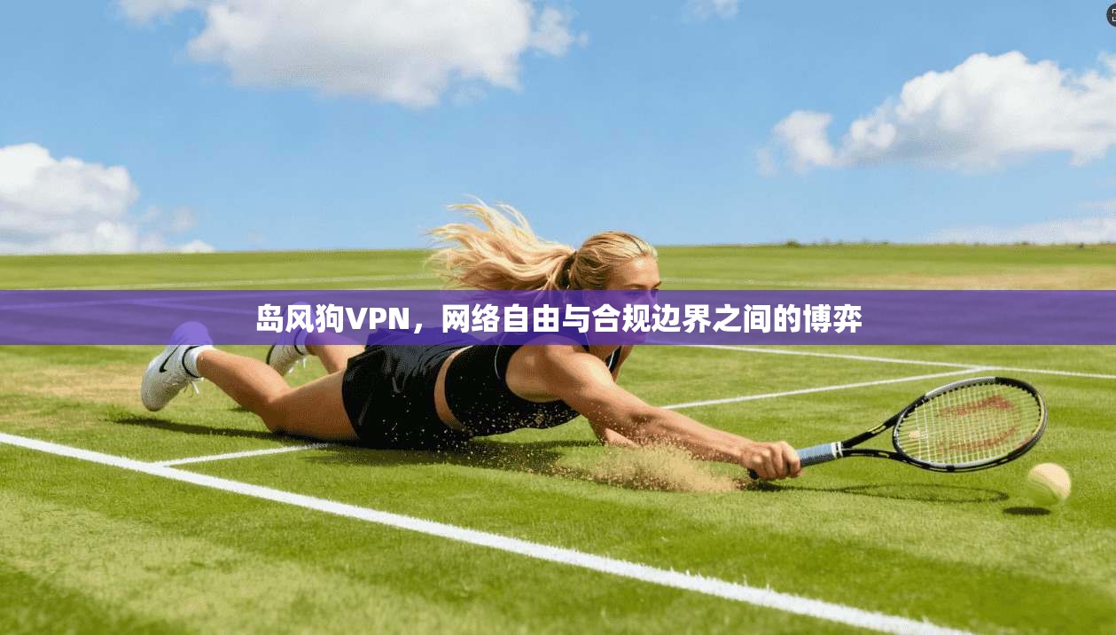岛风狗VPN，网络自由与合规边界之间的博弈