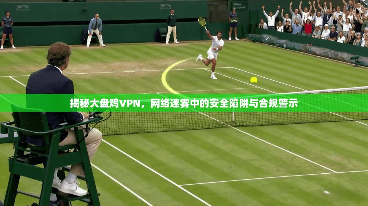 揭秘大盘鸡VPN，网络迷雾中的安全陷阱与合规警示