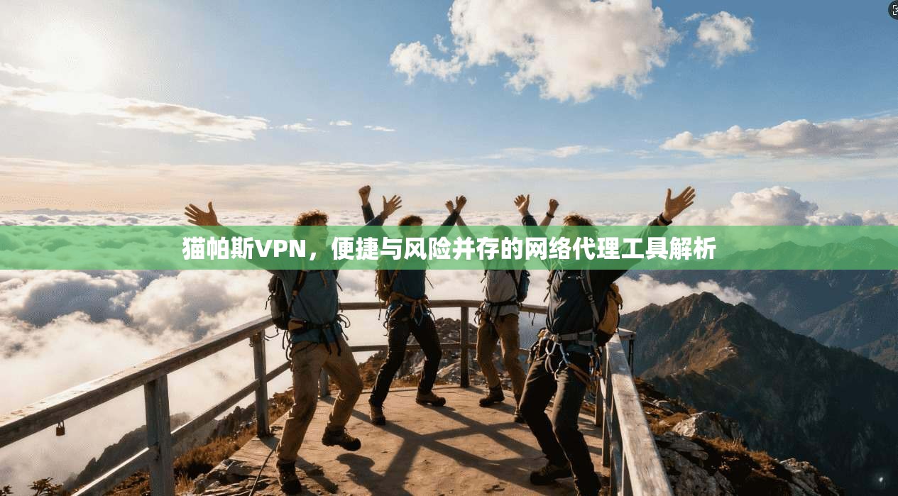 猫帕斯VPN，便捷与风险并存的网络代理工具解析