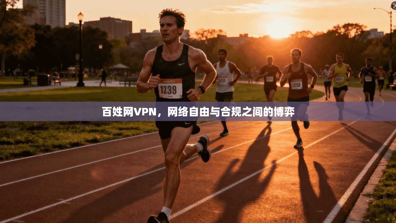 百姓网VPN,网络自由与合规之间的博弈