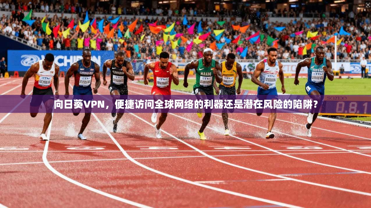 向日葵VPN，便捷访问全球网络的利器还是潜在风险的陷阱？