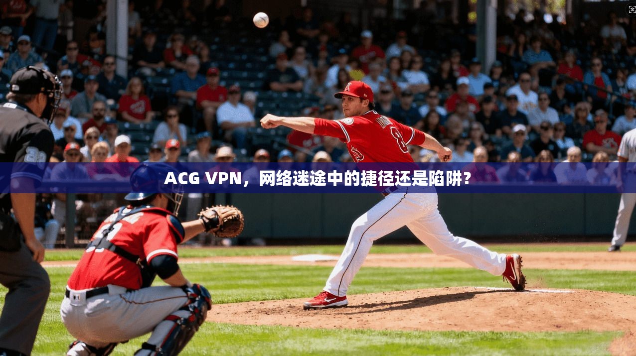 ACG VPN，网络迷途中的捷径还是陷阱？
