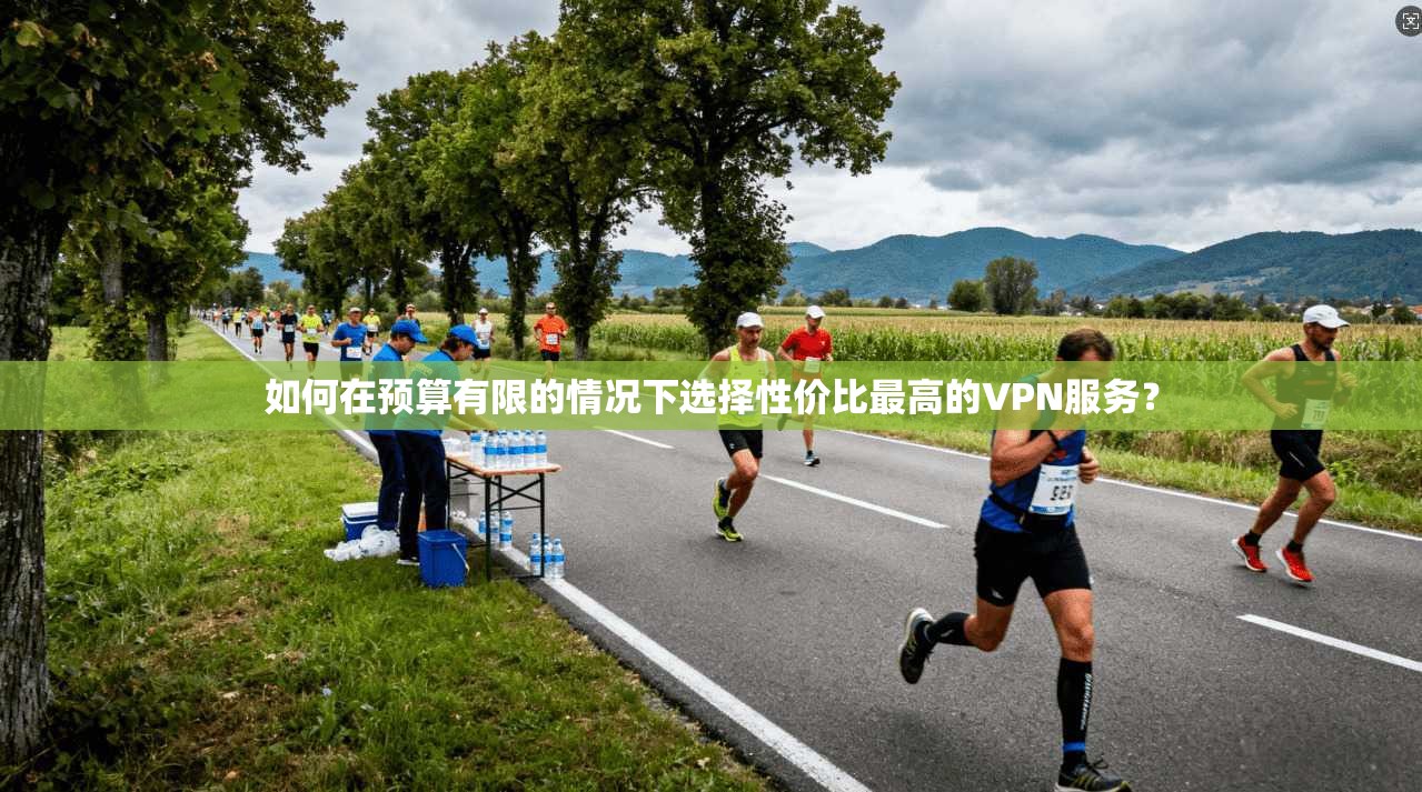 如何在预算有限的情况下选择性价比最高的VPN服务?
