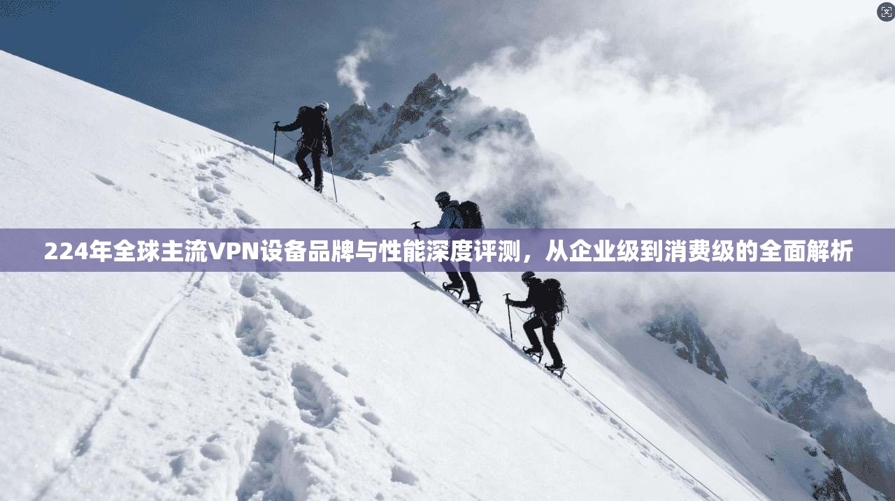 224年全球主流VPN设备品牌与性能深度评测，从企业级到消费级的全面解析
