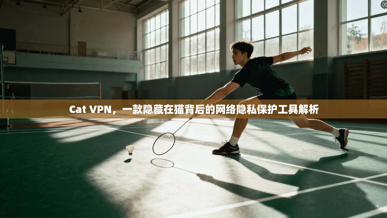 Cat VPN，一款隐藏在猫背后的网络隐私保护工具解析