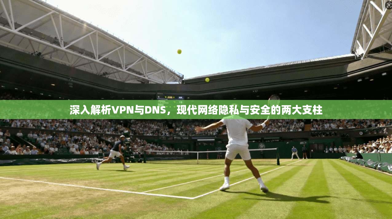 深入解析VPN与DNS,现代网络隐私与安全的两大支柱