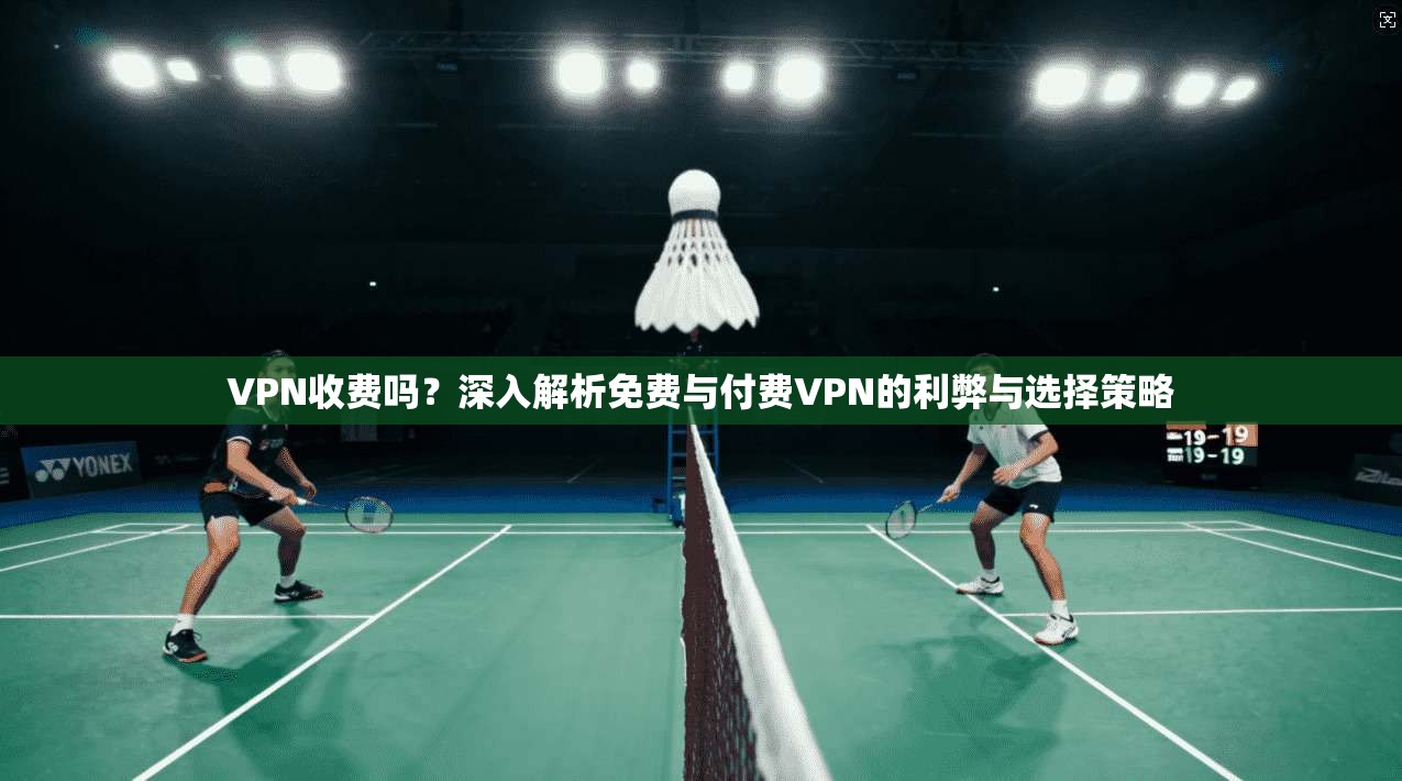VPN收费吗？深入解析免费与付费VPN的利弊与选择策略