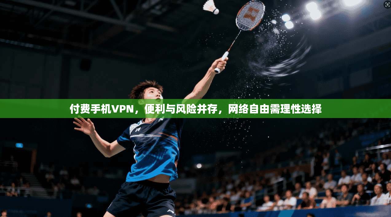 付费手机VPN，便利与风险并存，网络自由需理性选择