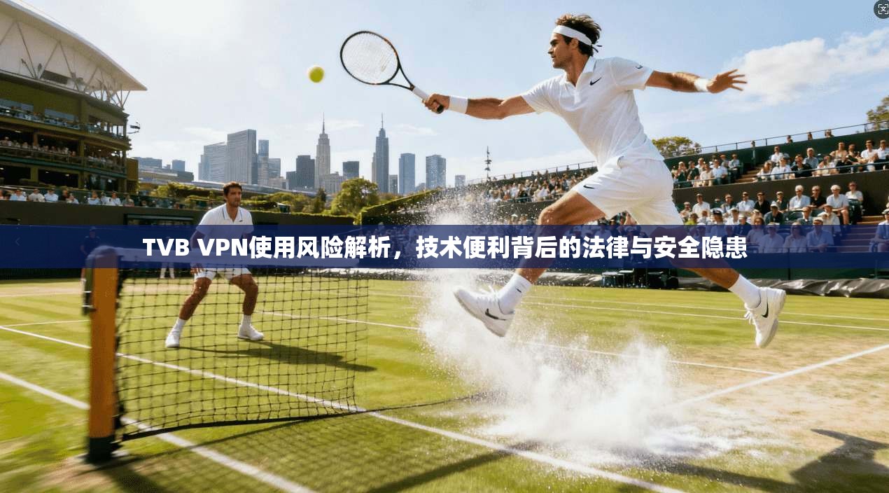 TVB VPN使用风险解析，技术便利背后的法律与安全隐患