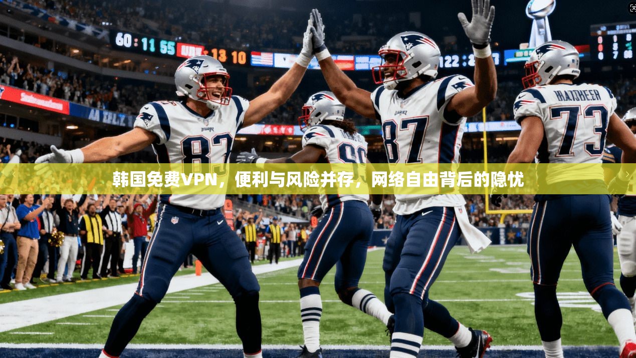 韩国免费VPN，便利与风险并存，网络自由背后的隐忧