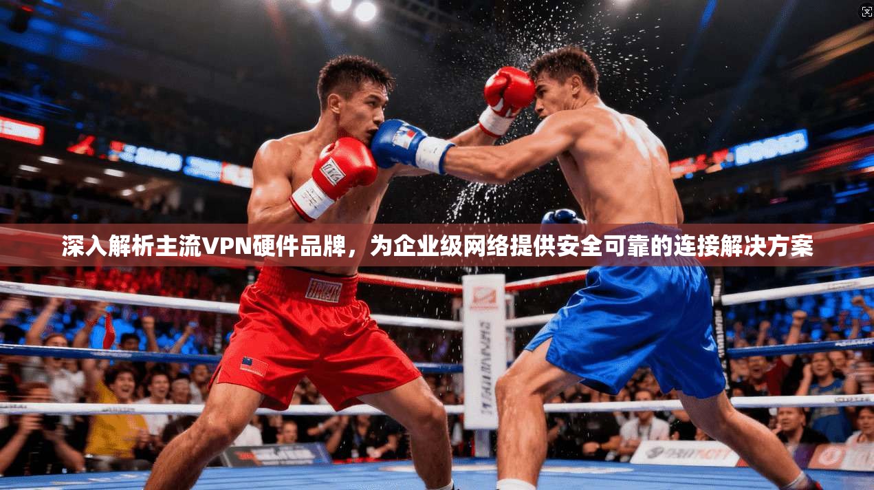 深入解析主流VPN硬件品牌，为企业级网络提供安全可靠的连接解决方案