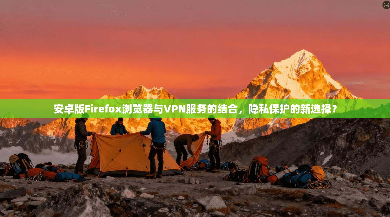 安卓版Firefox浏览器与VPN服务的结合，隐私保护的新选择？