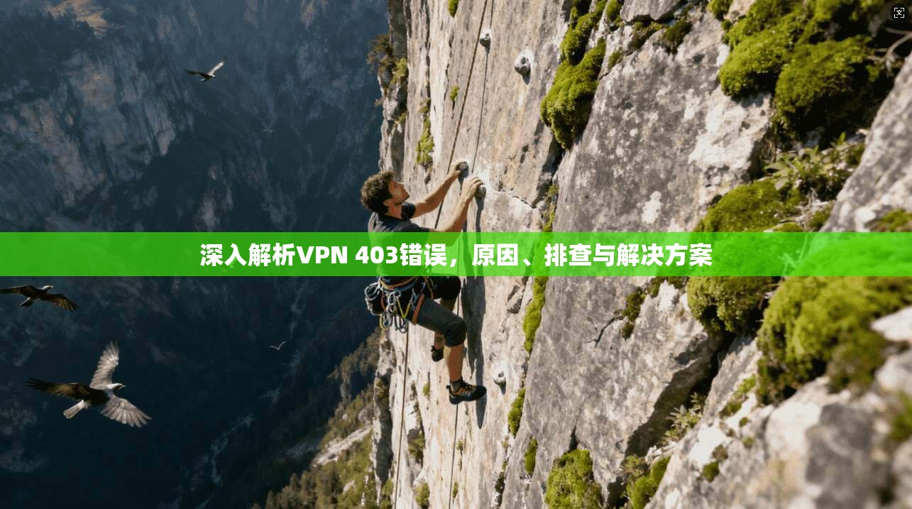 深入解析VPN 403错误，原因、排查与解决方案