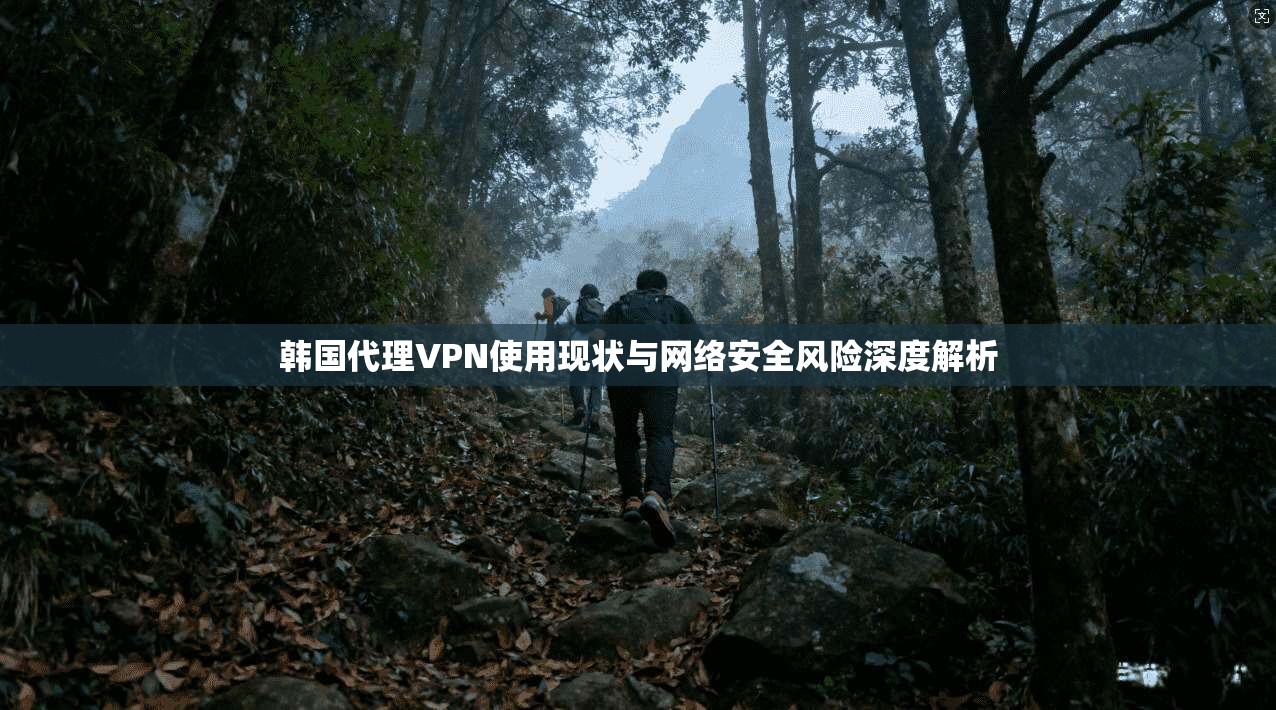 韩国代理VPN使用现状与网络安全风险深度解析