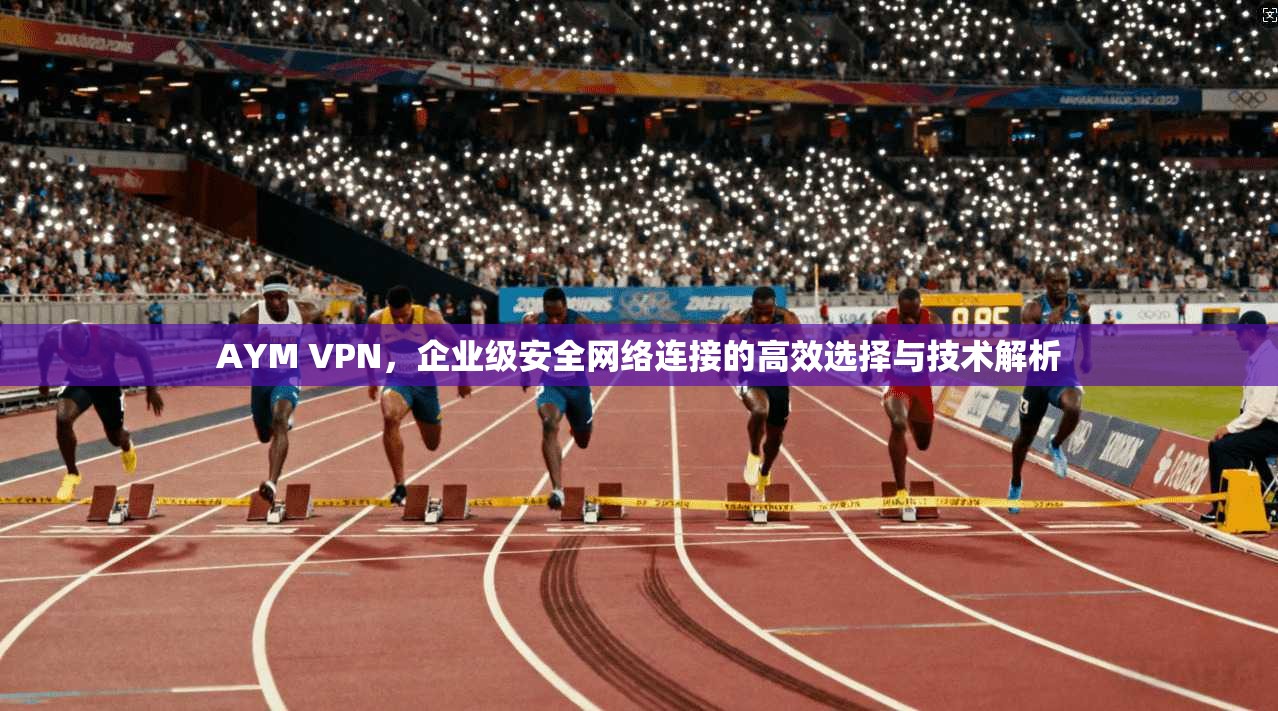 AYM VPN，企业级安全网络连接的高效选择与技术解析