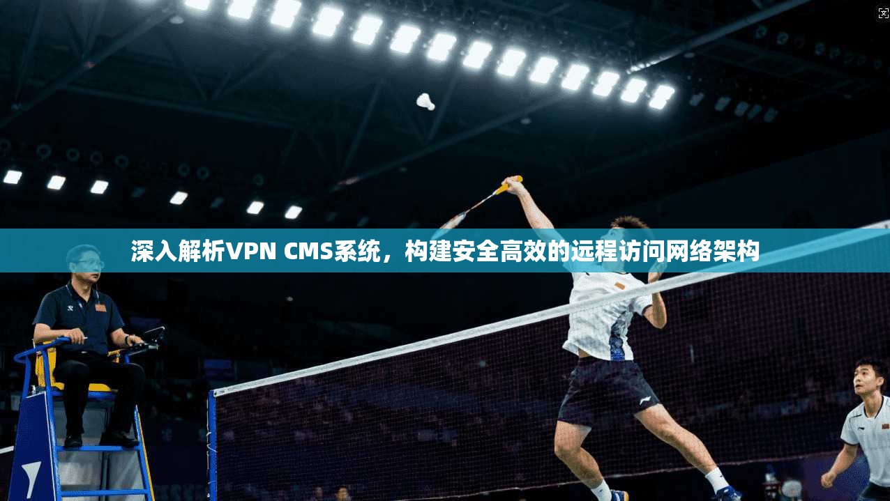 深入解析VPN CMS系统，构建安全高效的远程访问网络架构