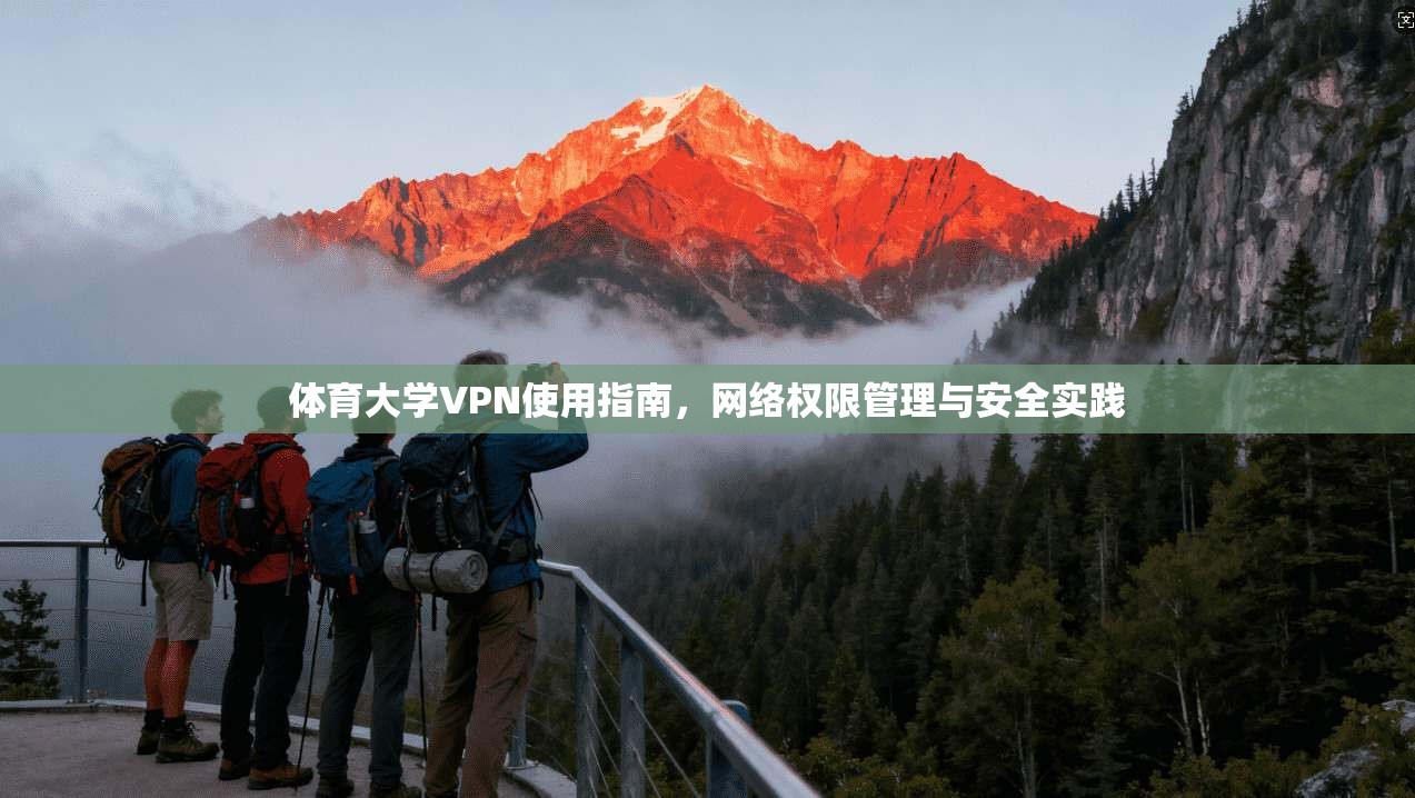 体育大学VPN使用指南,网络权限管理与安全实践