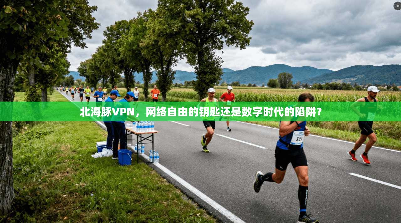 北海豚VPN，网络自由的钥匙还是数字时代的陷阱？