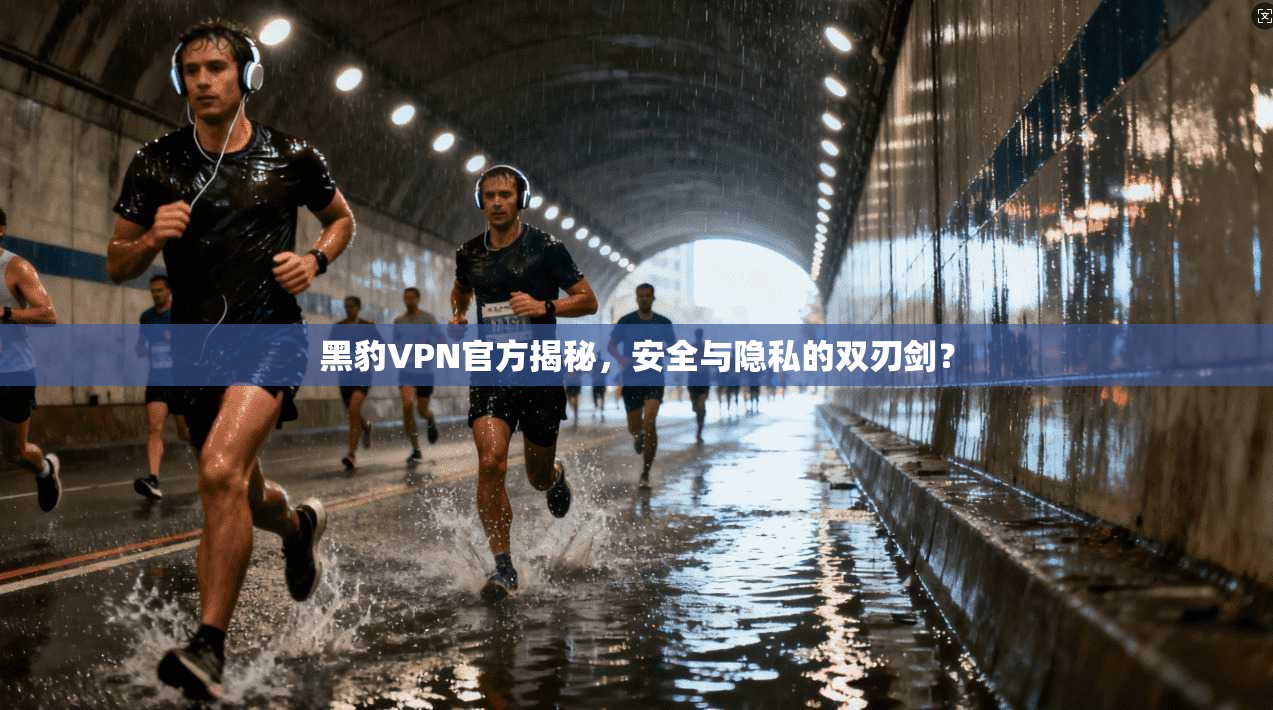 黑豹VPN官方揭秘，安全与隐私的双刃剑？