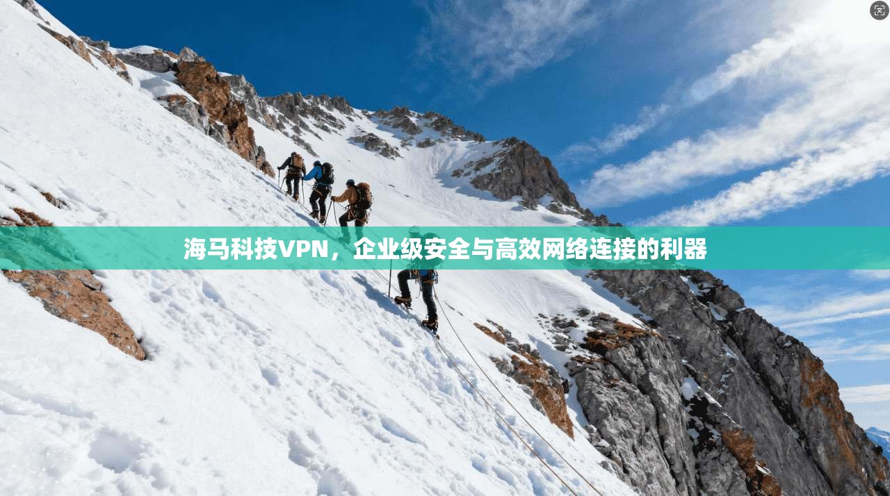 海马科技VPN，企业级安全与高效网络连接的利器