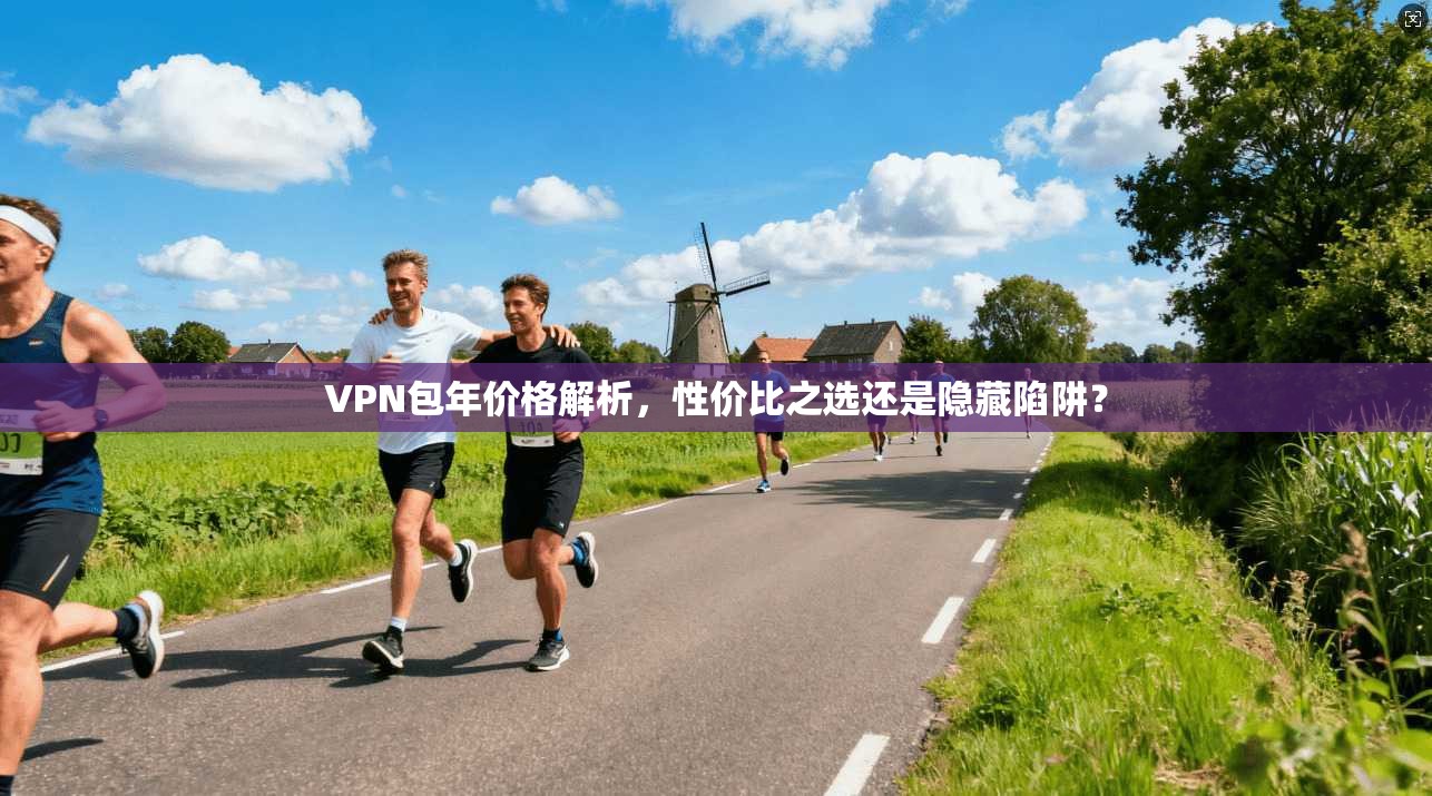 VPN包年价格解析,性价比之选还是隐藏陷阱?