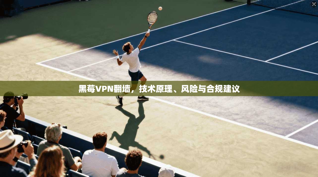黑莓VPN翻墙，技术原理、风险与合规建议