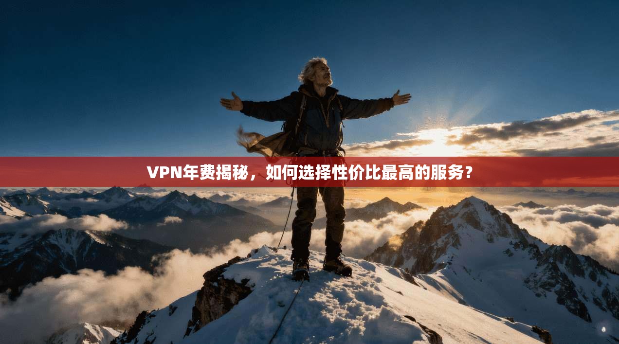VPN年费揭秘，如何选择性价比最高的服务？