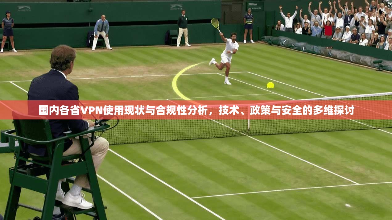 国内各省VPN使用现状与合规性分析，技术、政策与安全的多维探讨