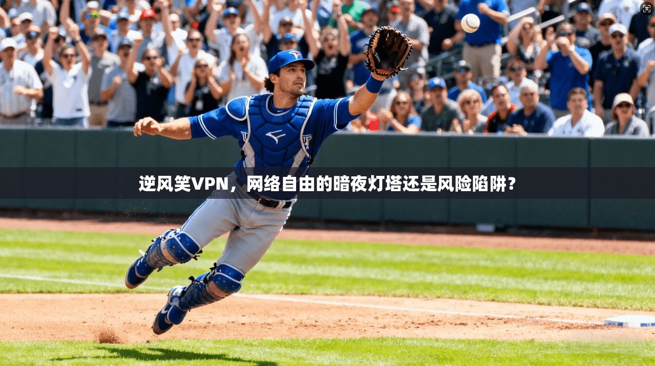 逆风笑VPN，网络自由的暗夜灯塔还是风险陷阱？