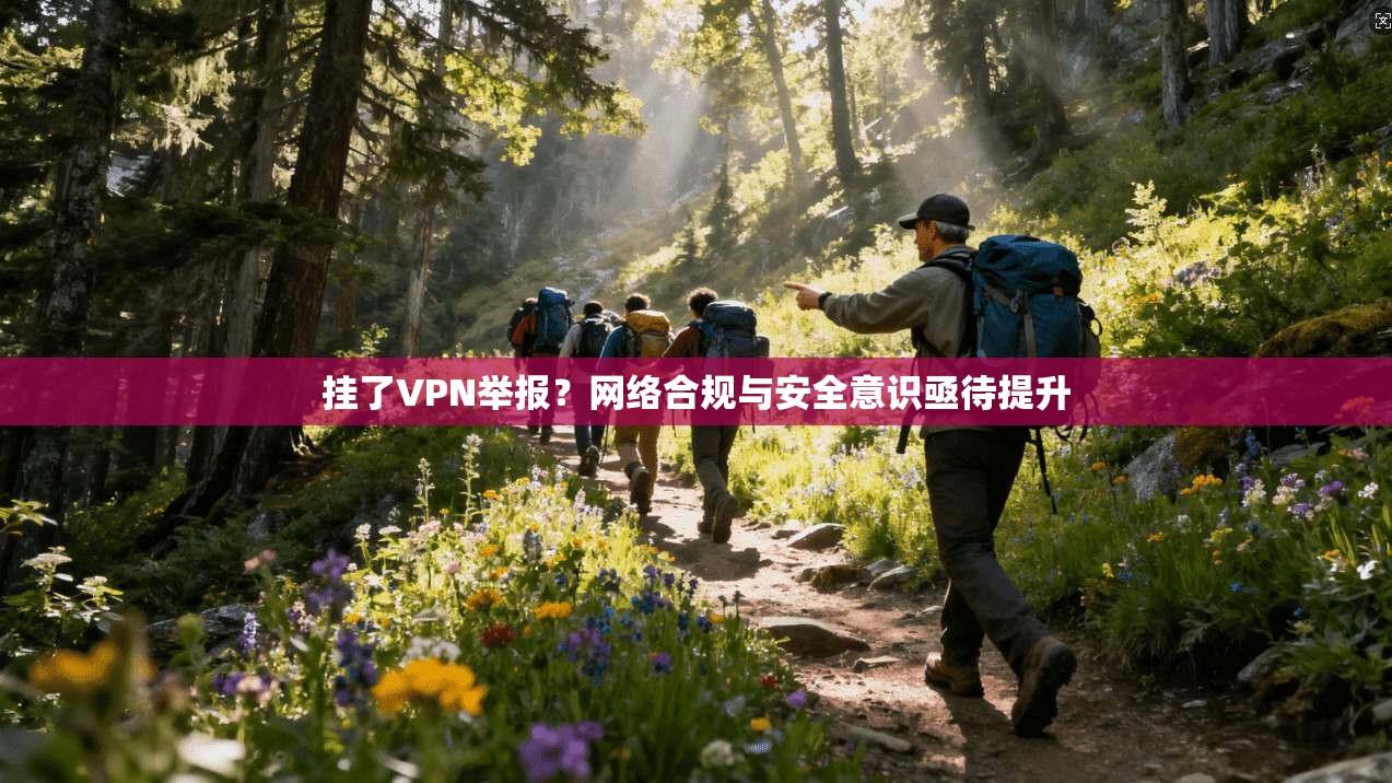 挂了VPN举报？网络合规与安全意识亟待提升