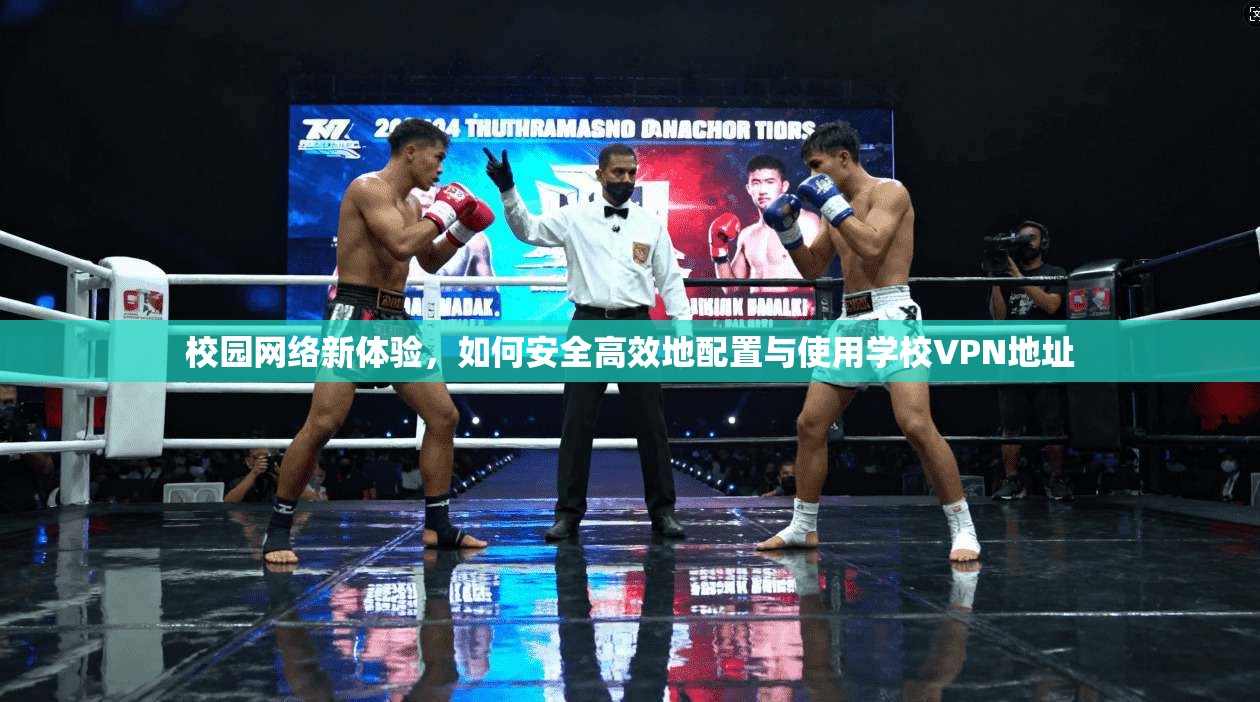 校园网络新体验，如何安全高效地配置与使用学校VPN地址