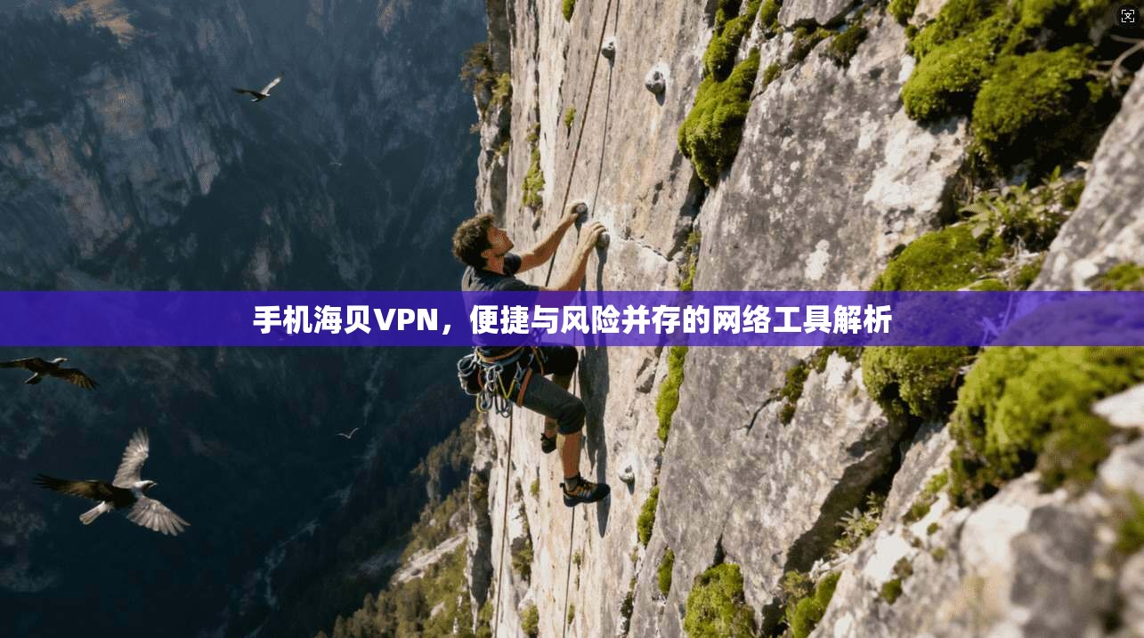 手机海贝VPN，便捷与风险并存的网络工具解析