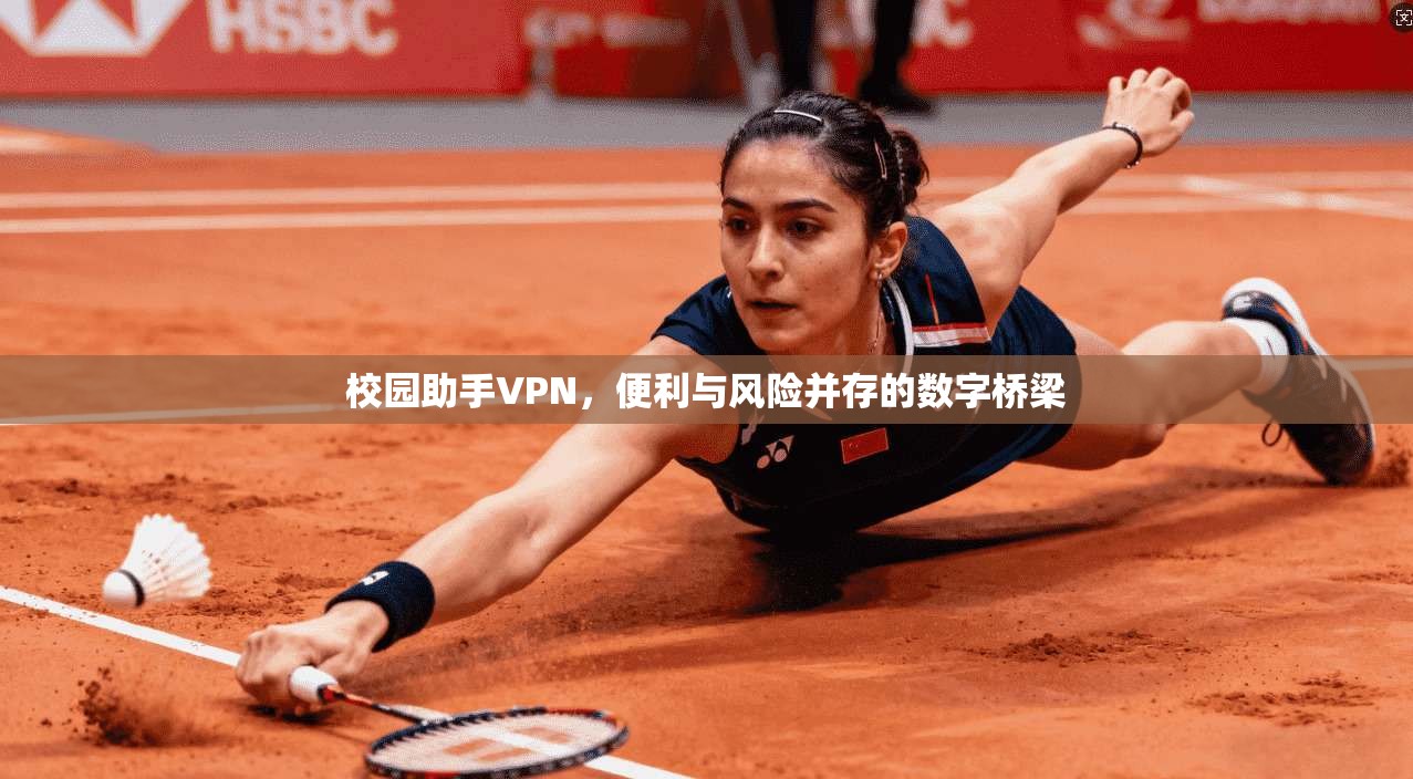 校园助手VPN，便利与风险并存的数字桥梁