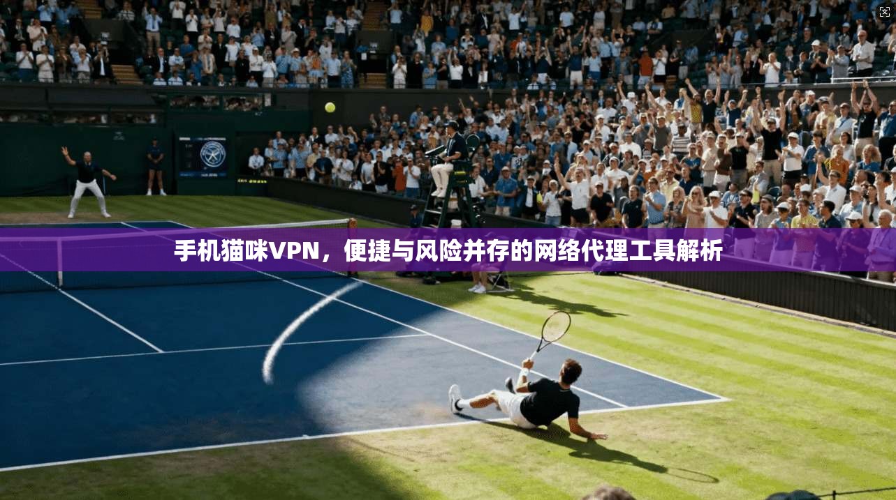 手机猫咪VPN，便捷与风险并存的网络代理工具解析