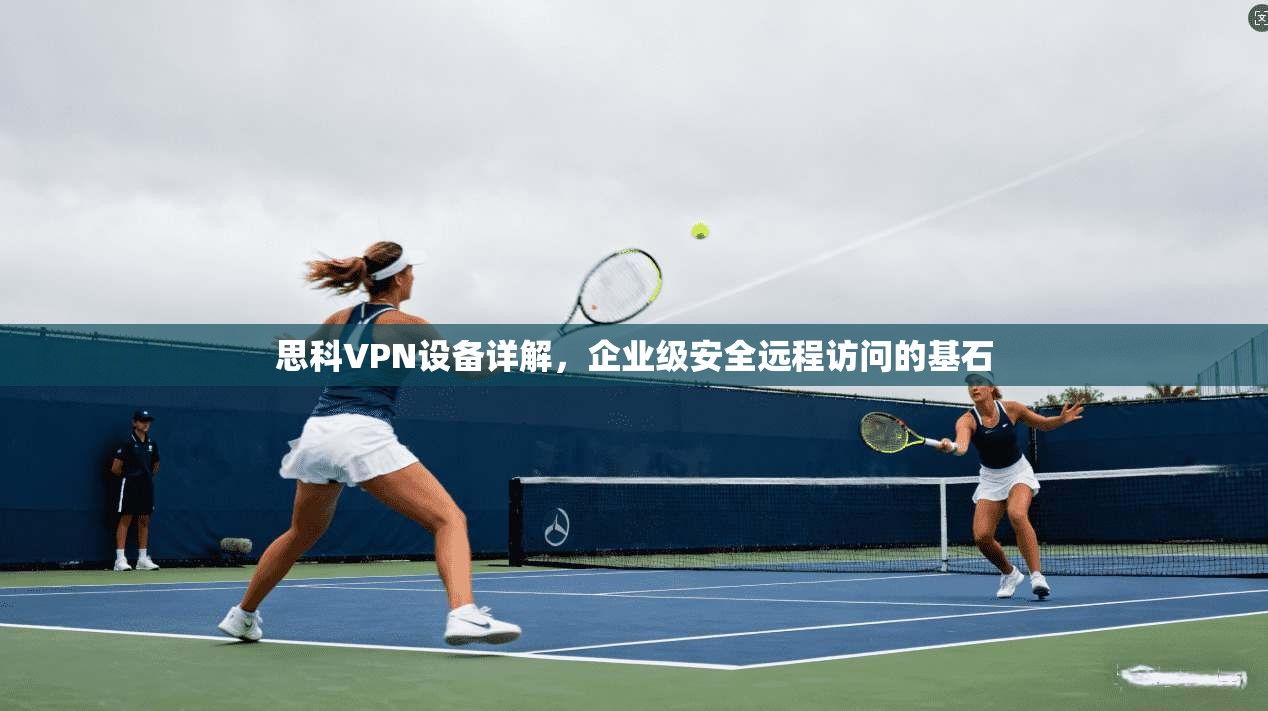 思科VPN设备详解，企业级安全远程访问的基石