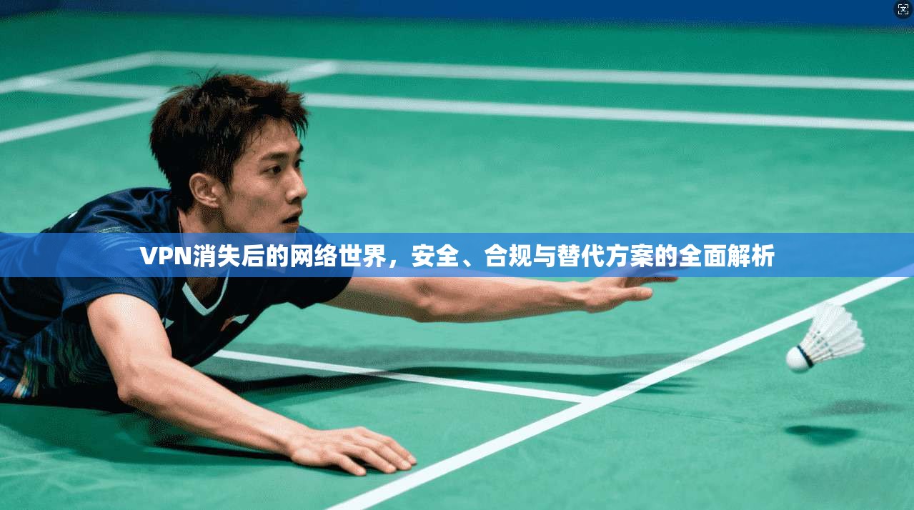 VPN消失后的网络世界，安全、合规与替代方案的全面解析