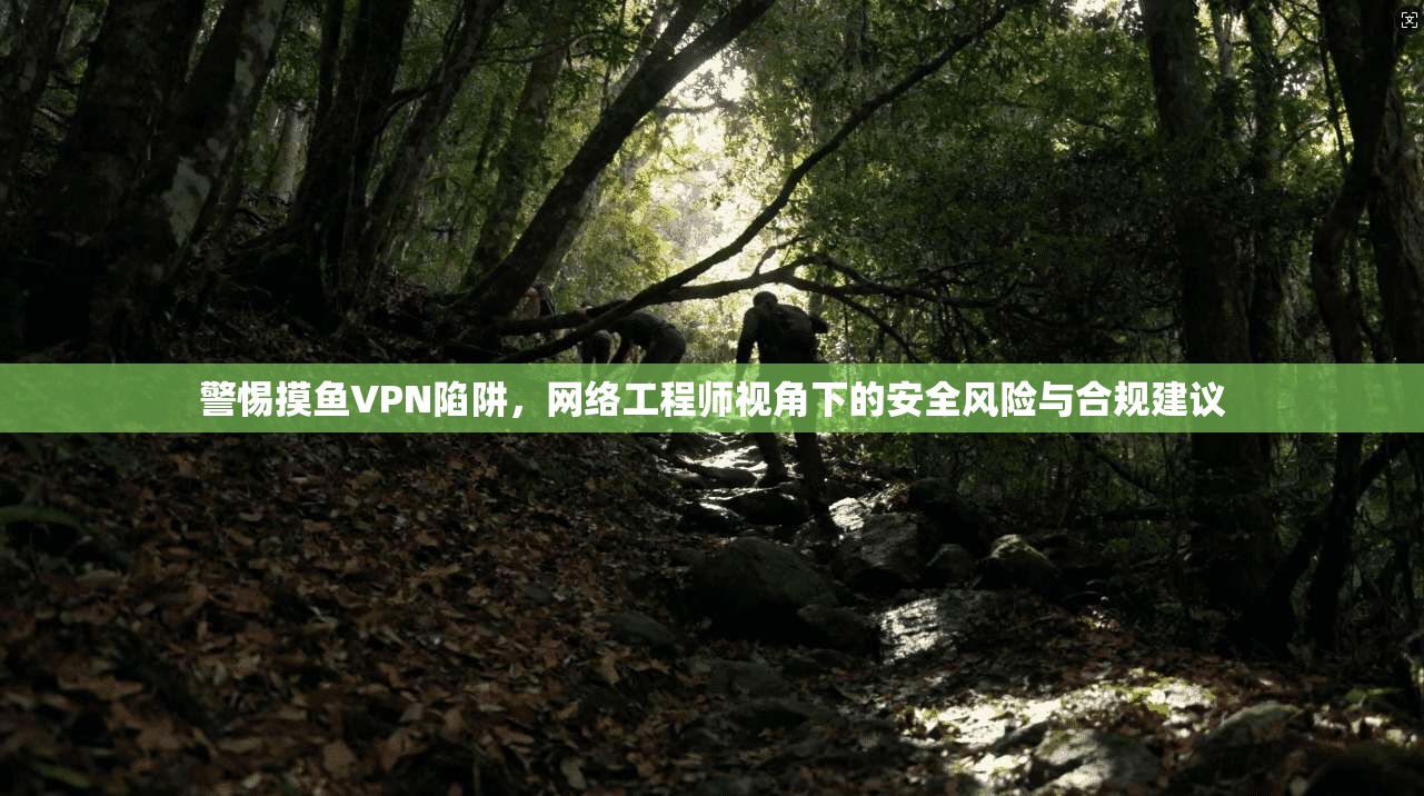 警惕摸鱼VPN陷阱，网络工程师视角下的安全风险与合规建议