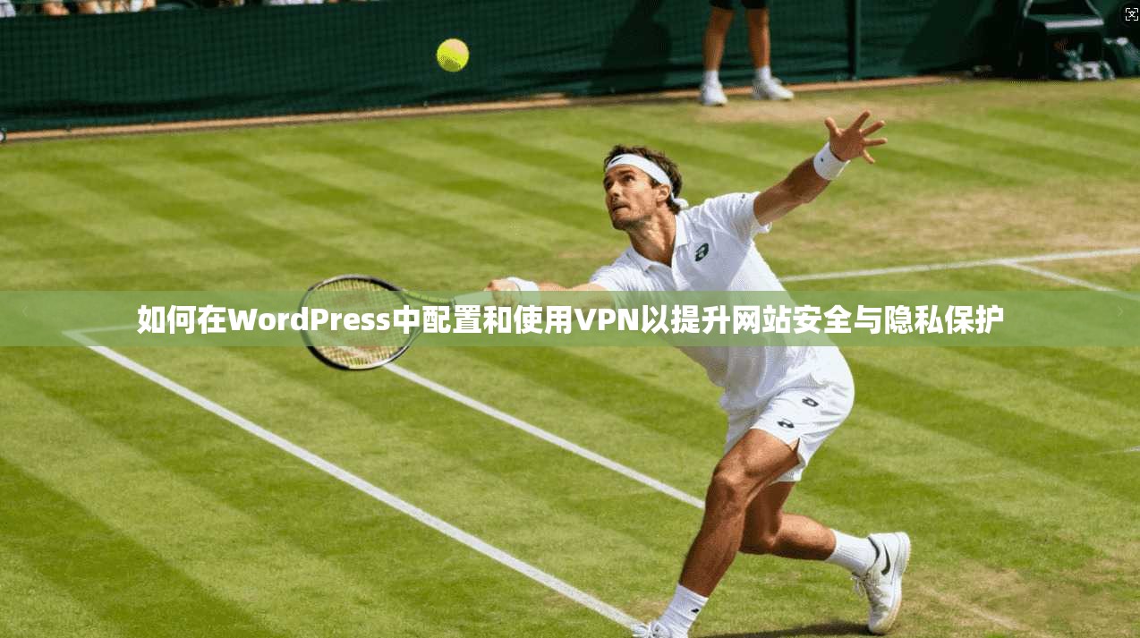如何在WordPress中配置和使用VPN以提升网站安全与隐私保护