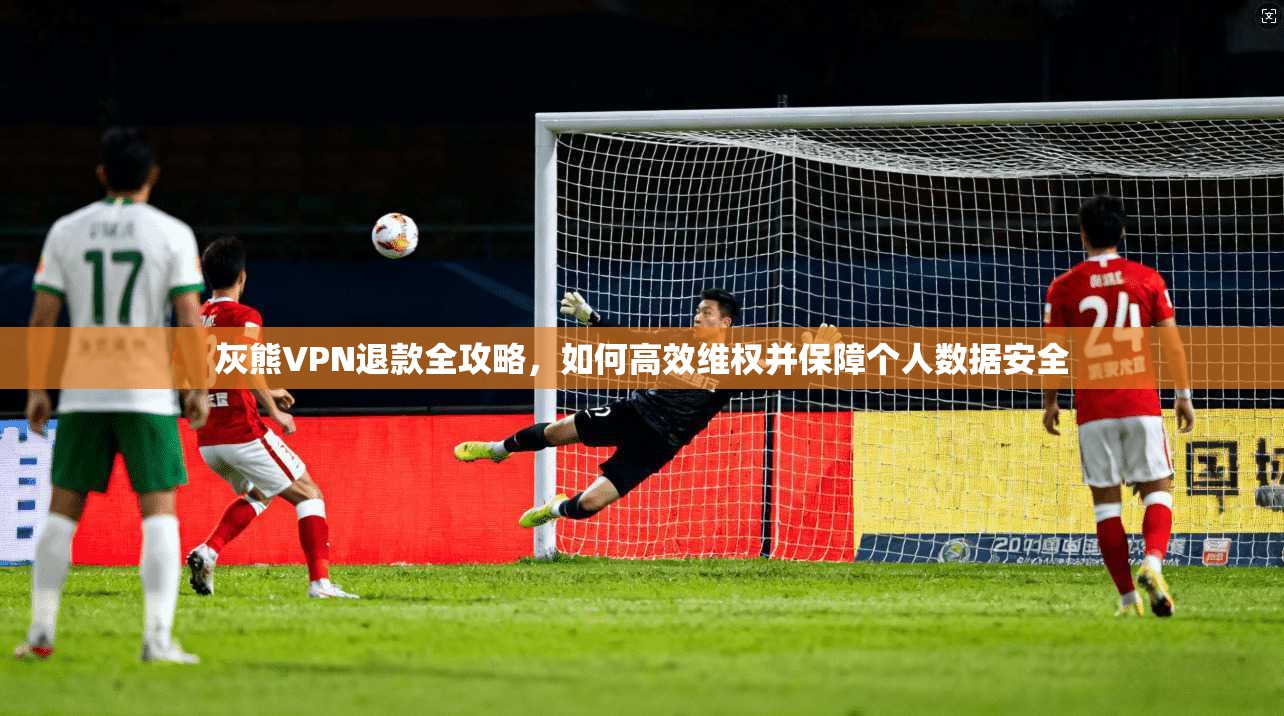 灰熊VPN退款全攻略，如何高效维权并保障个人数据安全