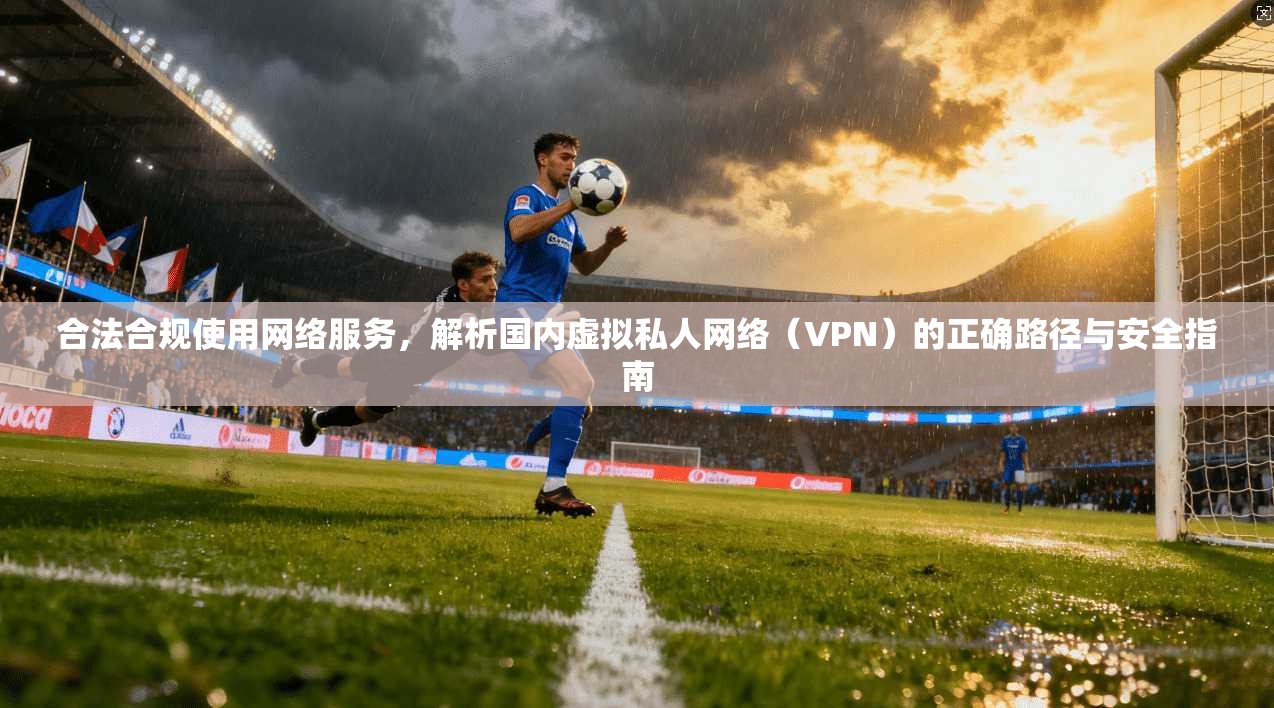 合法合规使用网络服务，解析国内虚拟私人网络（VPN）的正确路径与安全指南