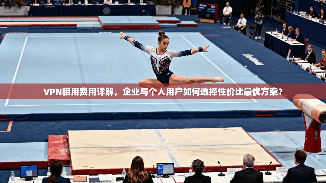 VPN租用费用详解，企业与个人用户如何选择性价比最优方案？