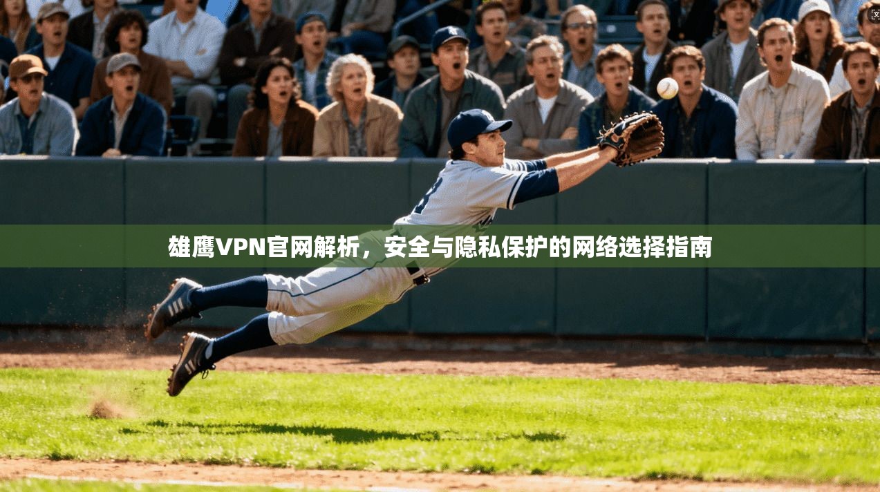 雄鹰VPN官网解析，安全与隐私保护的网络选择指南